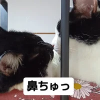 画像703