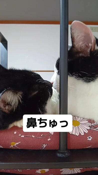 画像703
