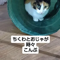 画像705