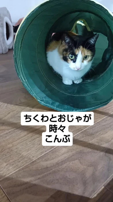 画像705