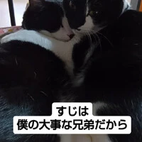 画像707