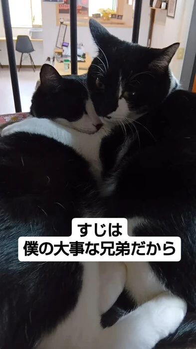 画像707