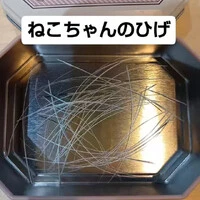 画像709