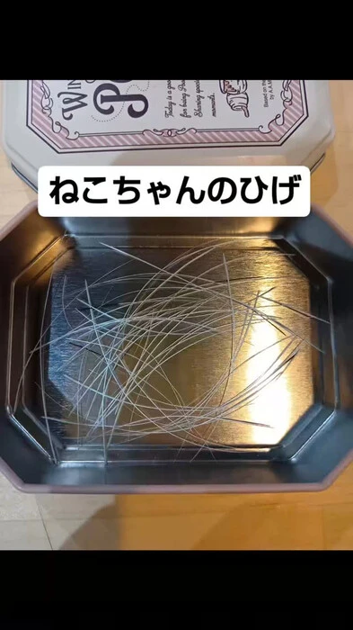 画像709