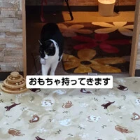画像711