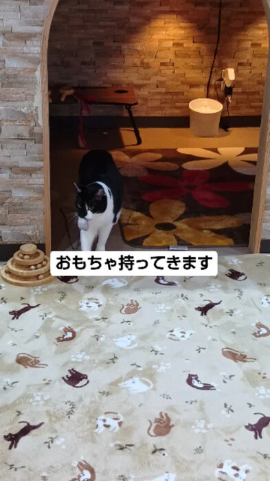 画像711