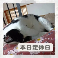画像713