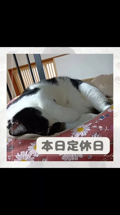 画像713