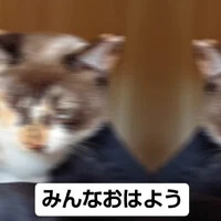 画像717
