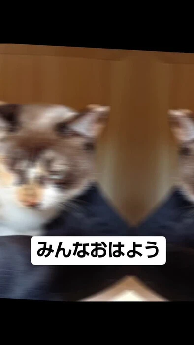 画像717