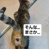 画像719