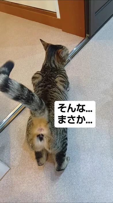 画像719