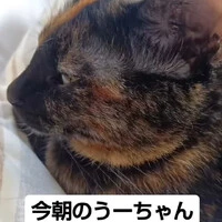 画像721