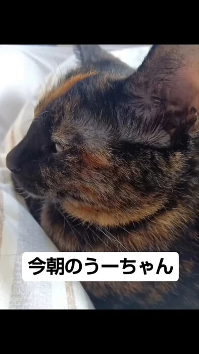 画像721