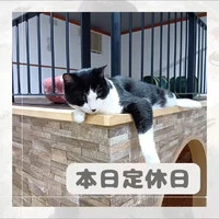 画像723