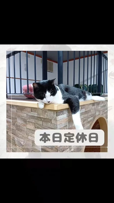 画像723