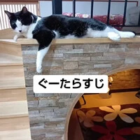 画像725