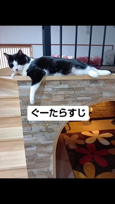 画像725