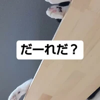 画像729