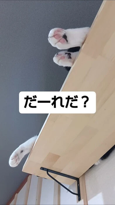 画像729