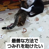 画像731