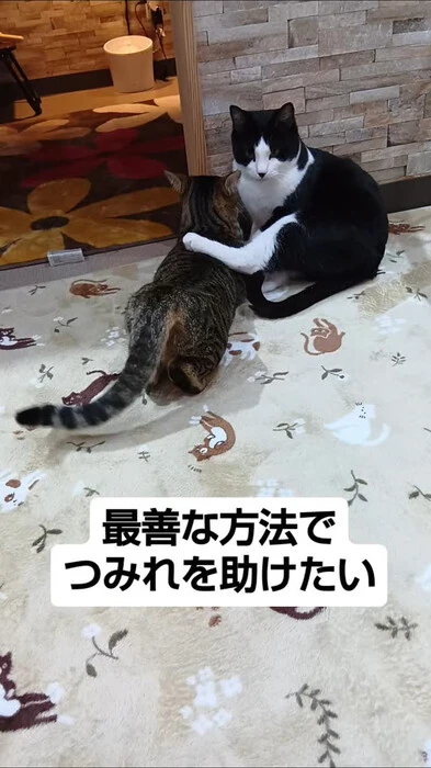 画像731