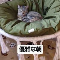 画像733