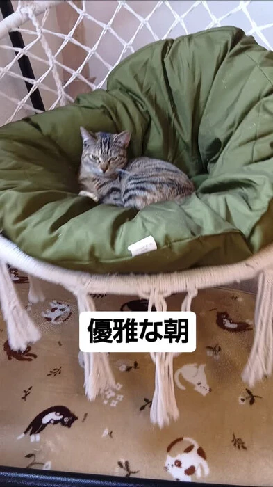 画像733