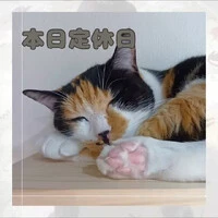 画像735