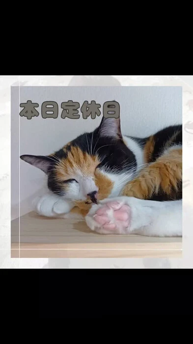 画像735