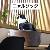 画像737