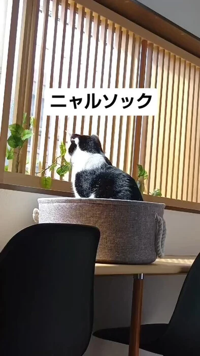 画像737
