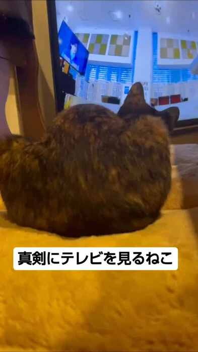 画像739