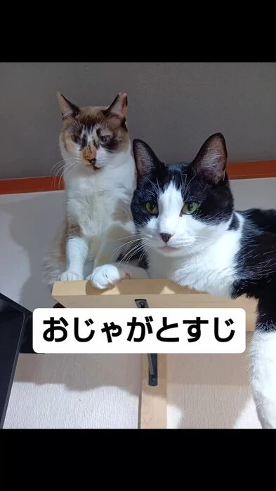 画像741