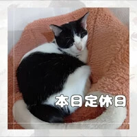 画像745