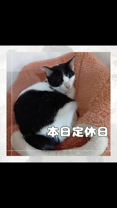 画像745
