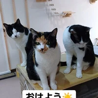画像747