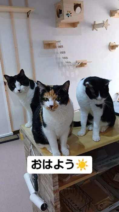 画像747