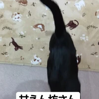 画像749
