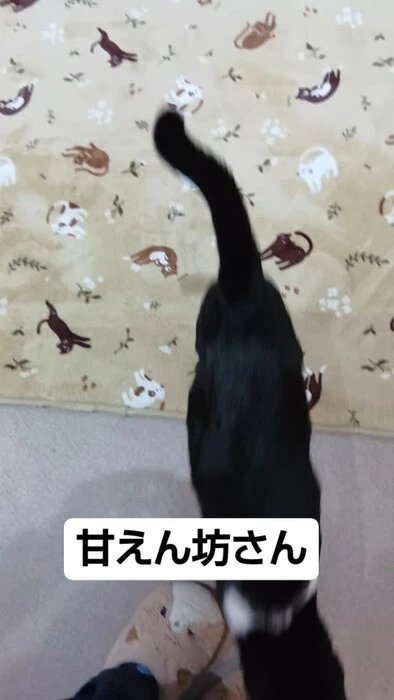 画像749