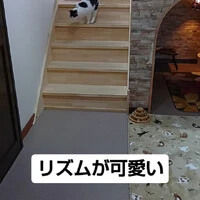 画像751