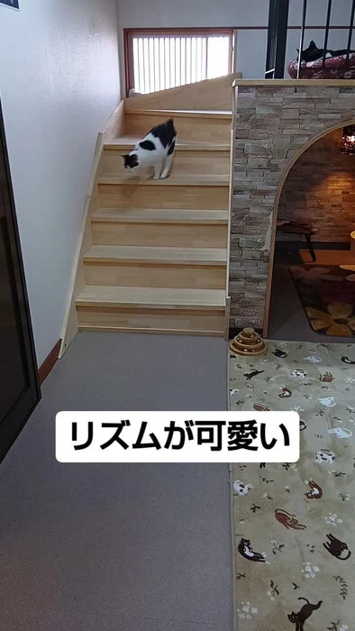 画像751