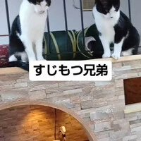 画像753