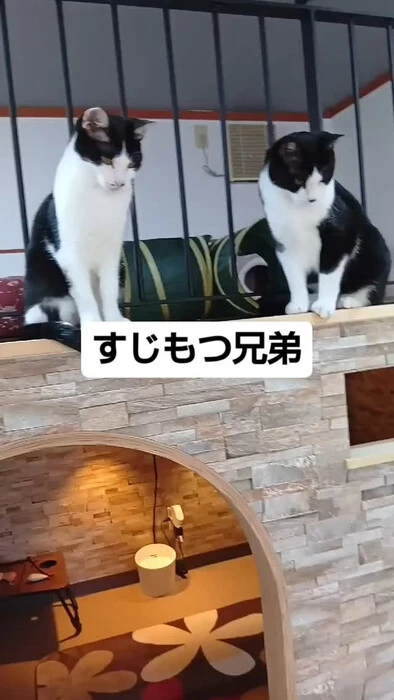 画像753