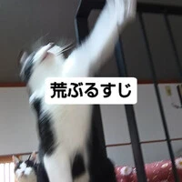 画像755