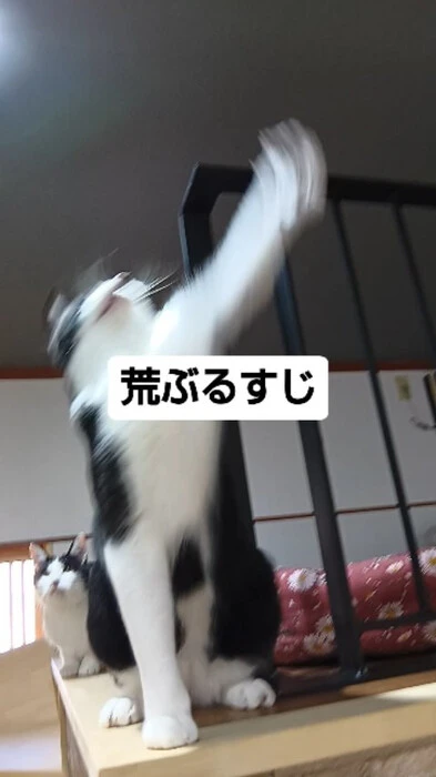 画像755