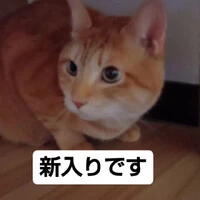 画像757