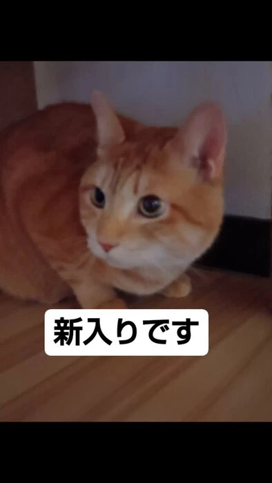 画像757