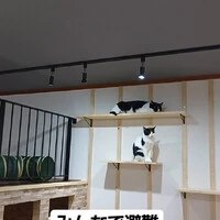 画像759
