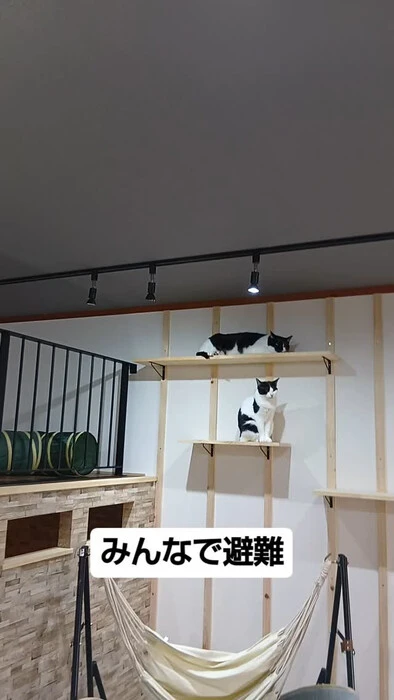 画像759